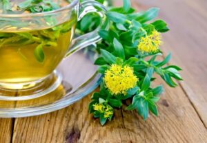 Liste super aliment :  la Rhodiola